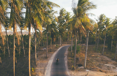 Discovering the Thrill: Ten Exceptional Motorcycle Routes Across North Carolina