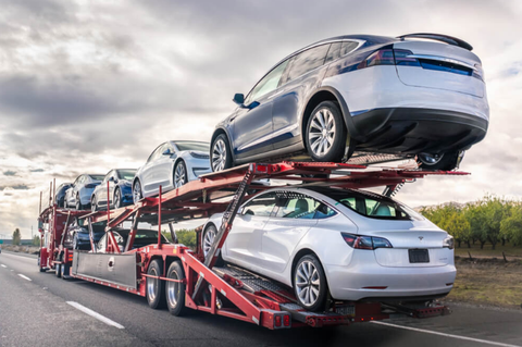 How to Choose the Best Car Shipping Company for Your Snowbird Journey