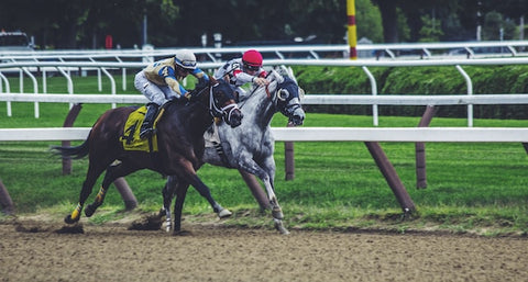 How to Choose the Best Online Betting Sites in India 2024?